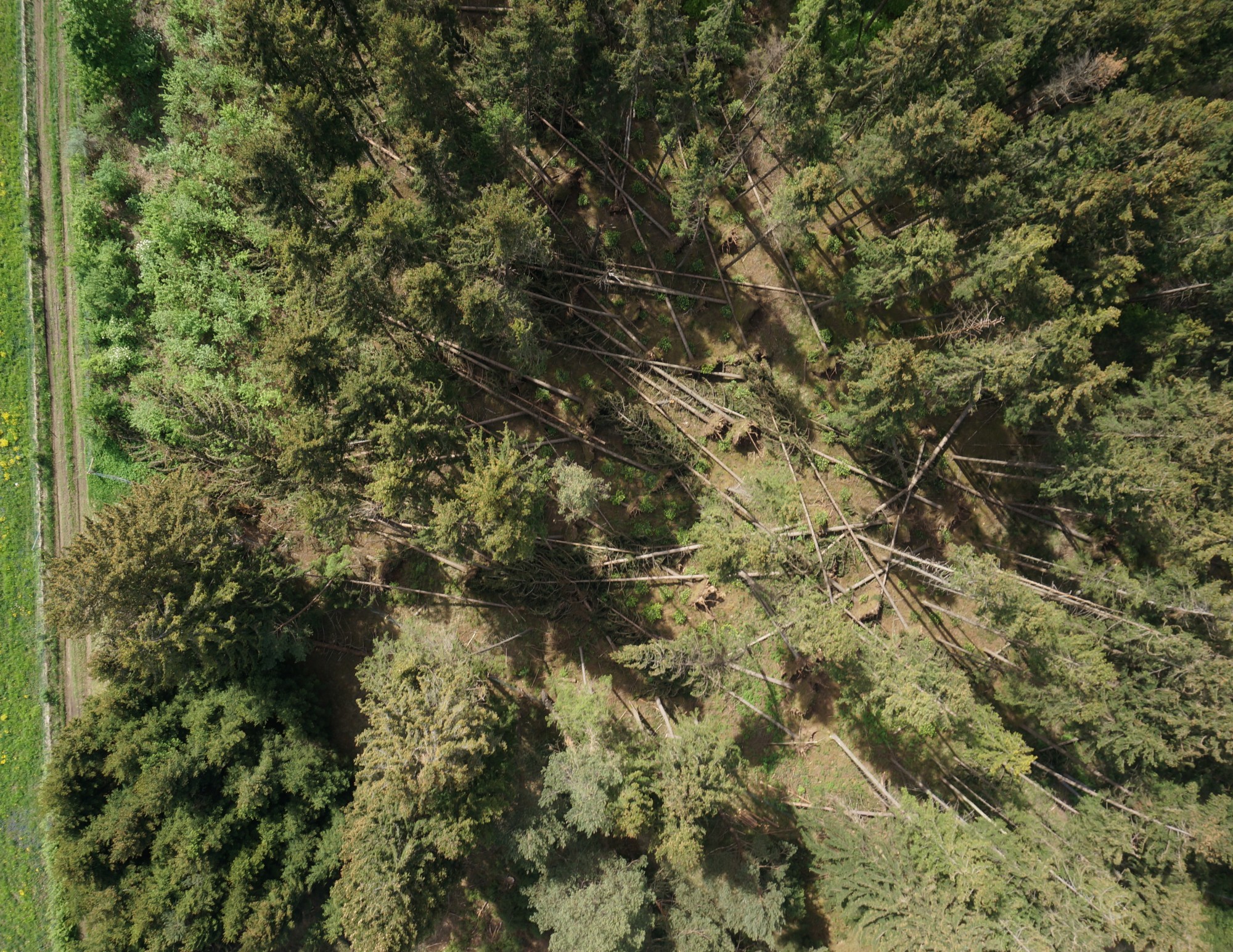 Waldmonitoring Eine regelmäßige Drohnen-Befliegung von Forstflächen ermöglicht die Aufdeckung und Erfassung von Baumwurf und Baumbruch sowie die Identifizierung von Käferbäumen und deren georeferenzierte Kartierung anhand von GPS-Koordinaten.